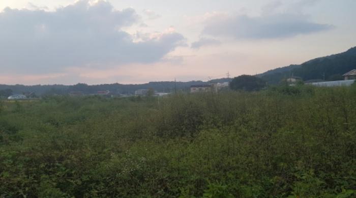 법원경매 2024타경49965 사진9 | 안성시 죽산면 답 경매