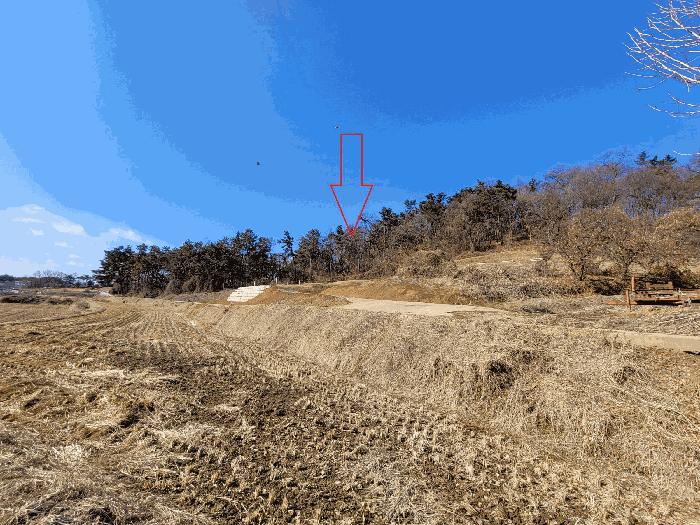 법원경매 2025타경41005 사진16 | 평택시 현덕면 기산리 임야 경매