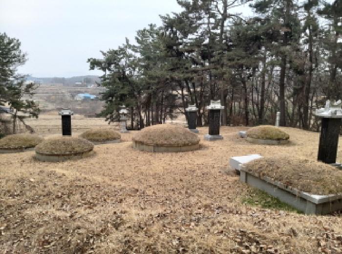 법원경매 2025타경41005 사진30 | 평택시 현덕면 기산리 임야 경매