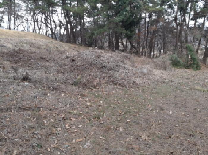 법원경매 2025타경41005 사진31 | 평택시 현덕면 기산리 임야 경매