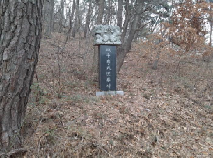 법원경매 2025타경41005 사진32 | 평택시 현덕면 기산리 임야 경매