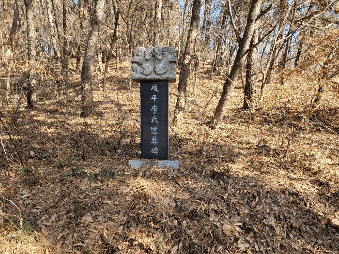 법원경매 2025타경41005 사진5 | 평택시 현덕면 기산리 임야 경매