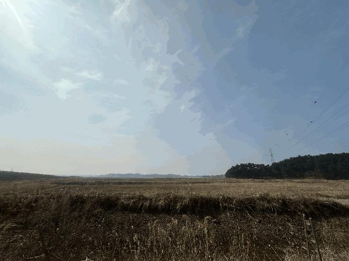 2025타경50975 법원경매 사진3 | 충남 태안군 임야 경매