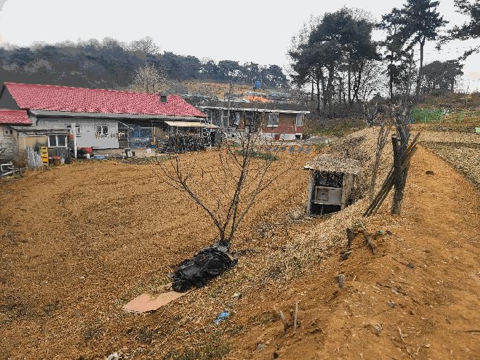 2025타경51145 법원경매 사진3 | 충남 당진시 대지 경매