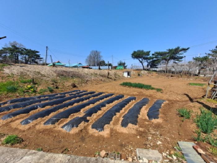 2025타경51145 법원경매 사진5 | 충남 당진시 대지 경매