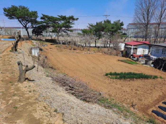 2025타경51145 법원경매 사진6 | 충남 당진시 대지 경매
