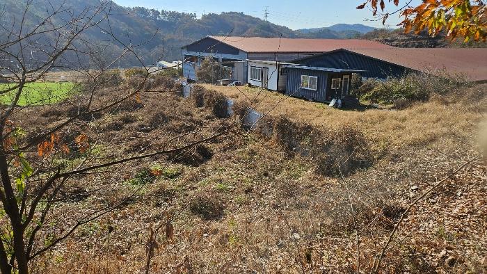 법원경매 2024타경1448 사진4 | 공주시 우성면 동대리 310 전 경매