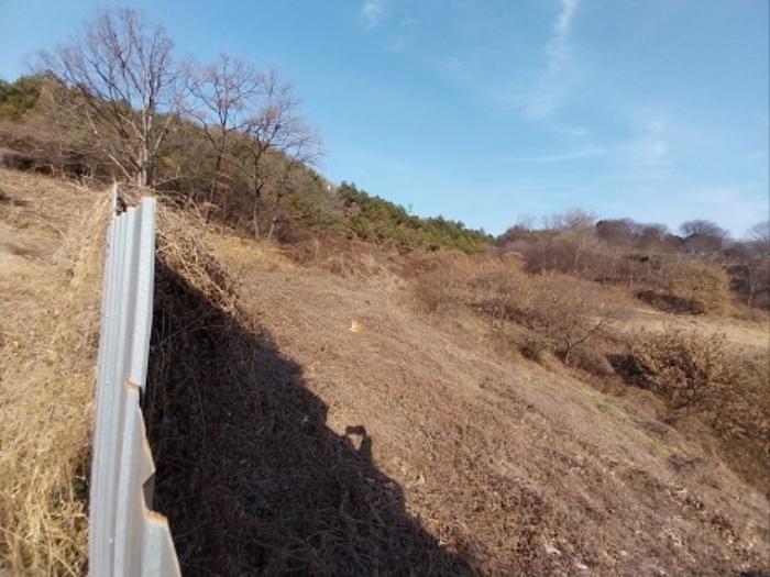 법원경매 2024타경1448 사진8 | 공주시 우성면 동대리 310 전 경매