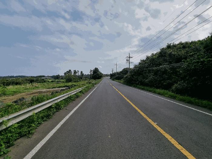 2025타경1186 법원경매 사진4 | 제주 서귀포시 임야 경매