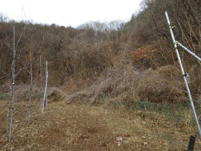 경상북도 문경시 가은읍 작천리 686-1 법원경매 물건 대표사진