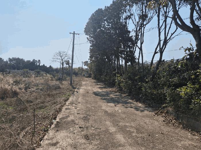법원경매 2025타경7681 사진6 | 서귀포시 남원읍 신흥리 114-1 전 경매