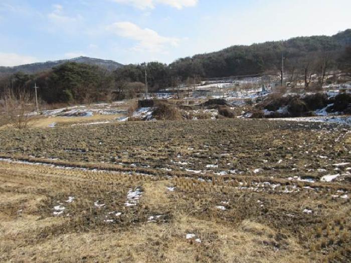 법원경매 2025타경46 사진34 | 상주시 내서면 서만리 316-1 전 경매