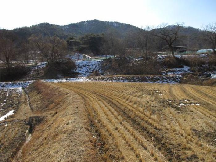 법원경매 2025타경46 사진35 | 상주시 내서면 서만리 316-1 전 경매