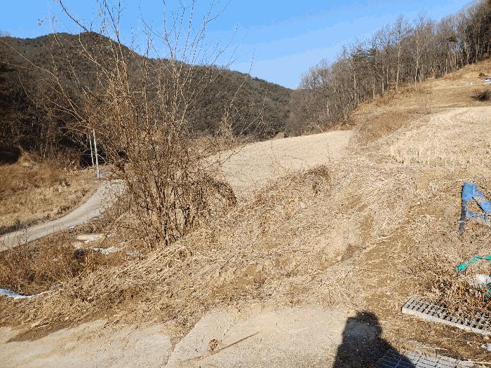 법원경매 2025타경46 사진5 | 상주시 내서면 서만리 316-1 전 경매