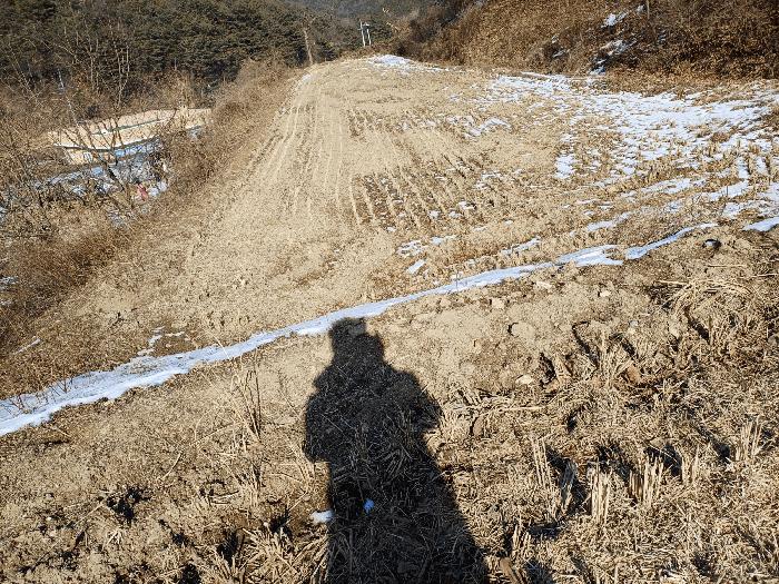 경상북도 상주시 내서면 서만리 317 법원경매 물건 대표사진