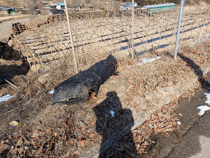 법원경매 2025타경46 사진12 | 상주시 내서면 서만리 317 답 경매