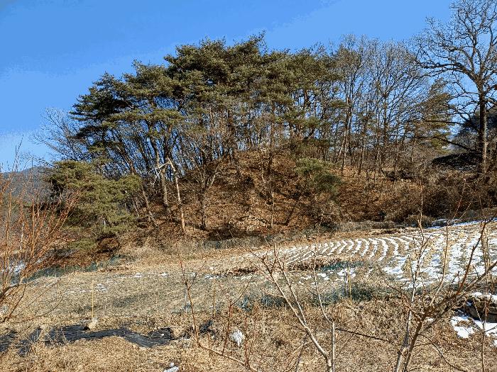 법원경매 2025타경46 사진16 | 상주시 내서면 서만리 317 답 경매