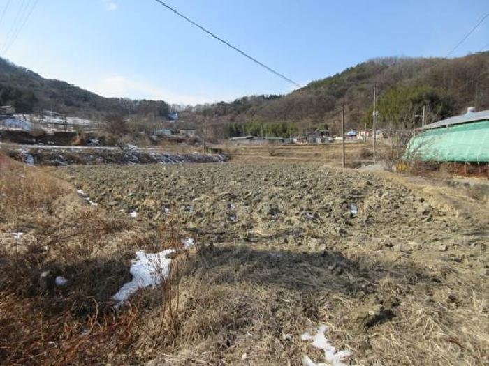 법원경매 2025타경46 사진31 | 상주시 내서면 서만리 317 답 경매