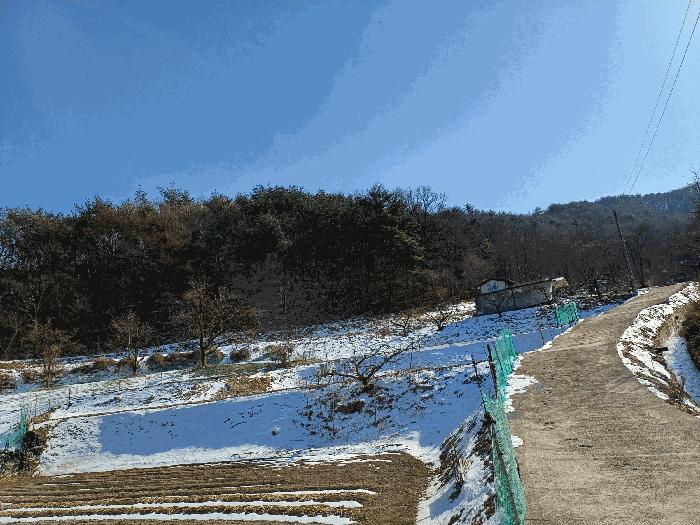 법원경매 2025타경46 사진9 | 상주시 내서면 서만리 317 답 경매