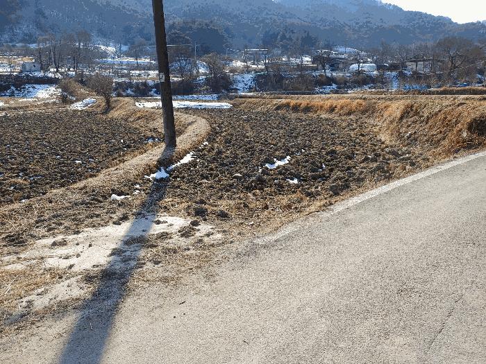 법원경매 2025타경46 사진10 | 상주시 내서면 서만리 349 임야 경매
