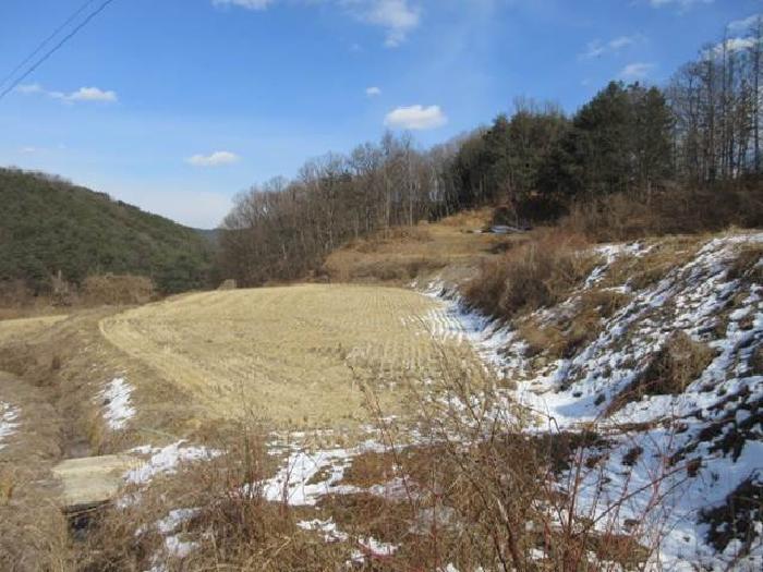 법원경매 2025타경46 사진20 | 상주시 내서면 서만리 349 임야 경매
