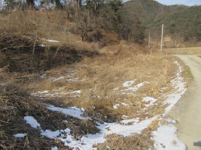 법원경매 2025타경46 사진23 | 상주시 내서면 서만리 349 임야 경매