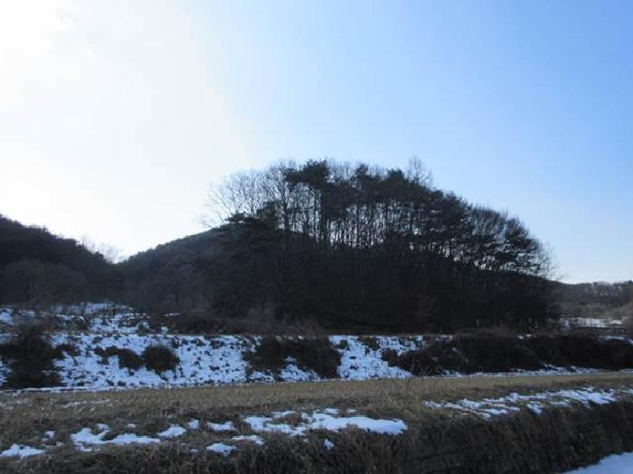 법원경매 2025타경46 사진27 | 상주시 내서면 서만리 349 임야 경매
