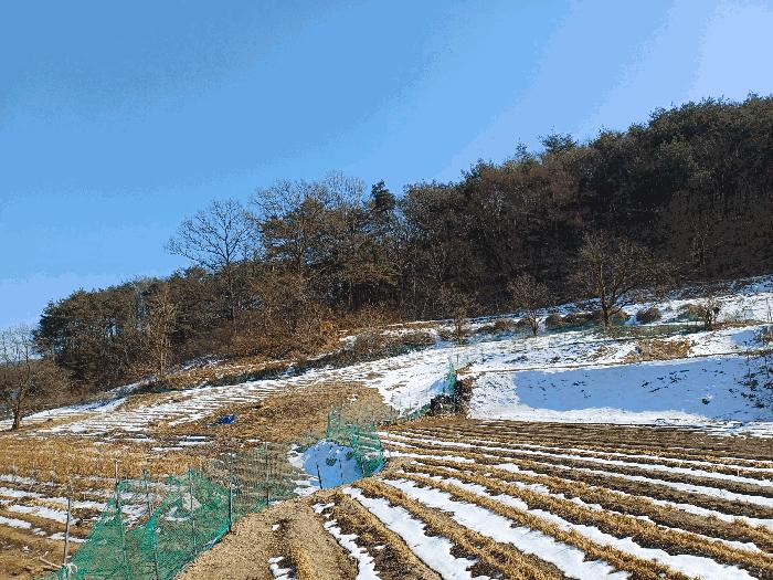 법원경매 2025타경46 사진3 | 상주시 내서면 서만리 349 임야 경매