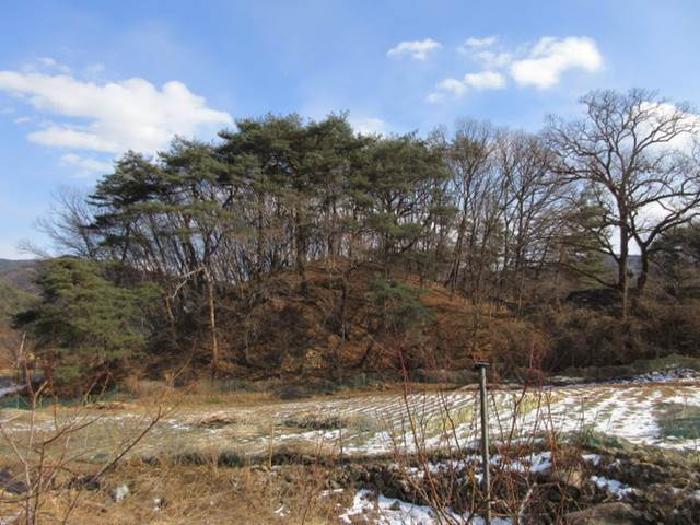 법원경매 2025타경46 사진28 | 상주시 내서면 서만리 375 답 경매