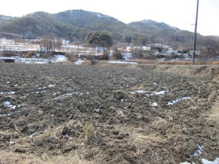 법원경매 2025타경46 사진32 | 상주시 내서면 서만리 403 답 경매