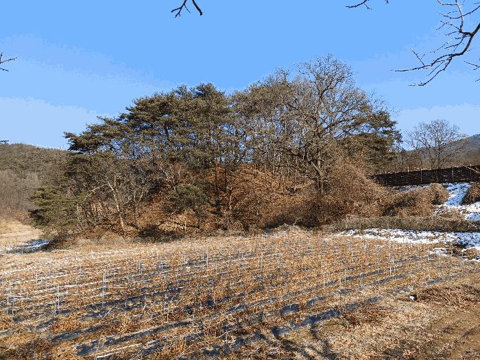 법원경매 2025타경46 사진7 | 상주시 내서면 서만리 403 답 경매