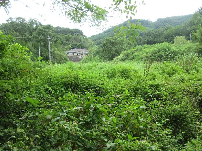 2024타경78383 법원경매 사진28 | 전남 장성군 대지 경매