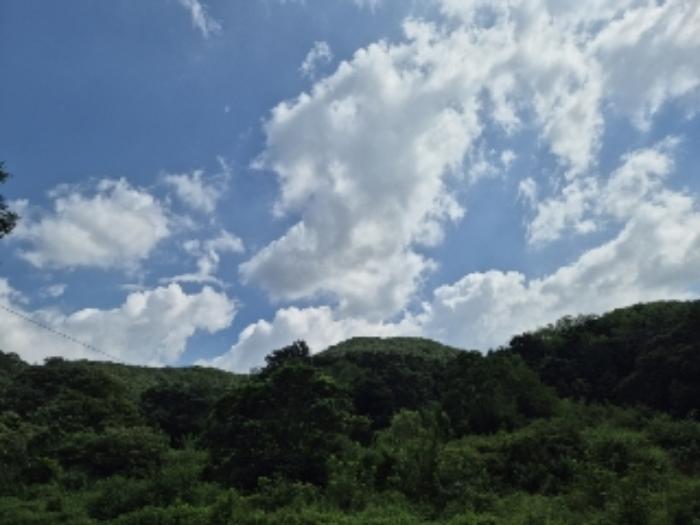 2024타경78383 법원경매 사진65 | 전남 장성군 대지 경매