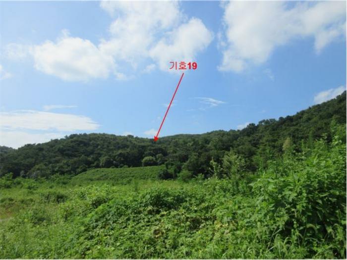 2024타경78383 법원경매 사진8 | 전남 장성군 전 경매