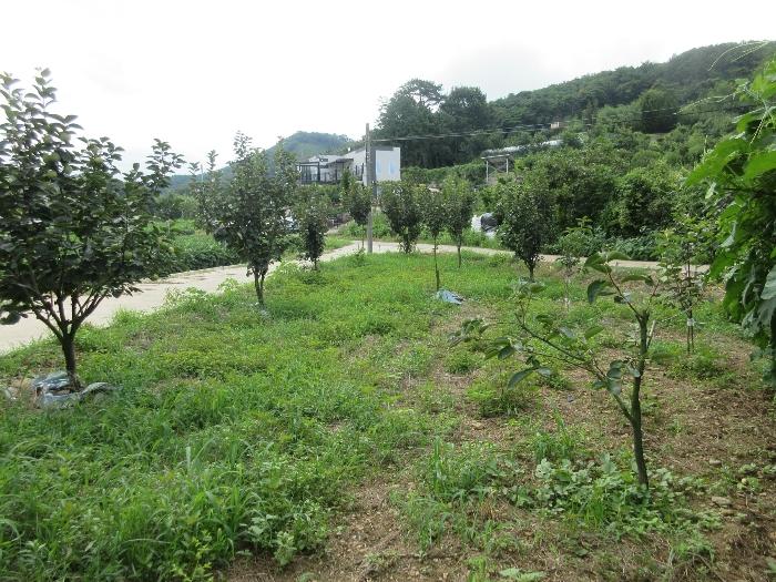 2024타경78383 법원경매 사진9 | 전남 장성군 전 경매
