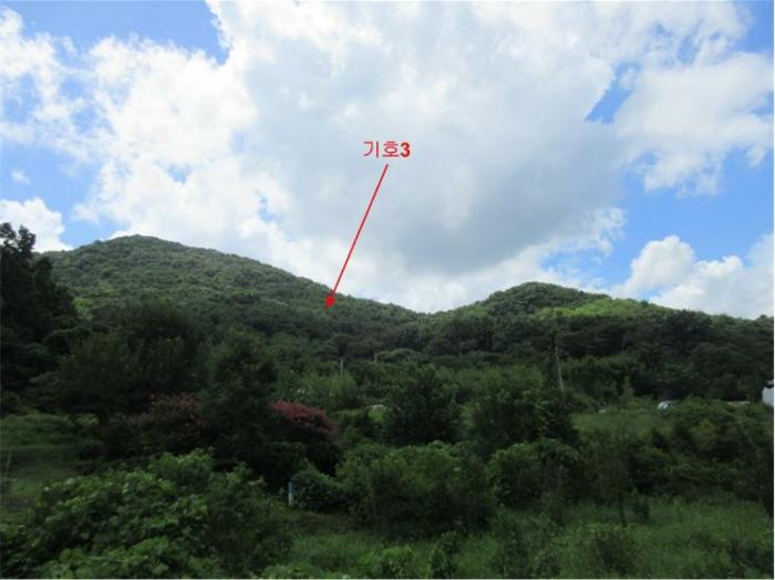 2024타경78383 법원경매 사진2 | 전남 장성군 대지 경매