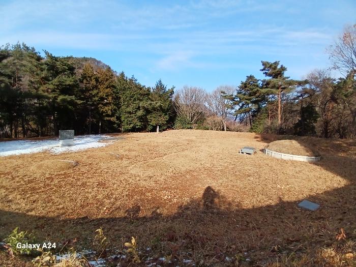 2024타경85329 법원경매 사진6 | 전남 담양군 임야 경매