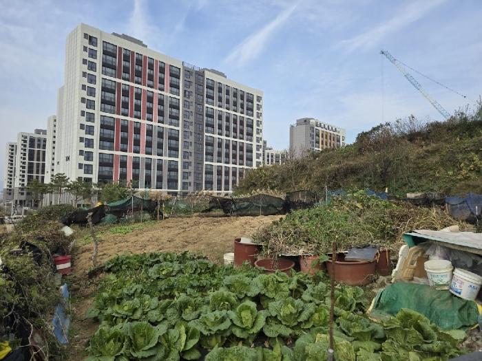법원경매 2024타경85541 사진2 | 광주 남구 월산동 584-1 대지 경매