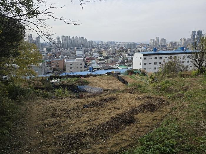법원경매 2024타경85541 사진5 | 광주 남구 월산동 584-1 대지 경매