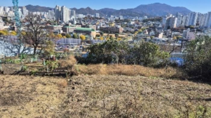 법원경매 2024타경85541 사진9 | 광주 남구 월산동 584-1 대지 경매