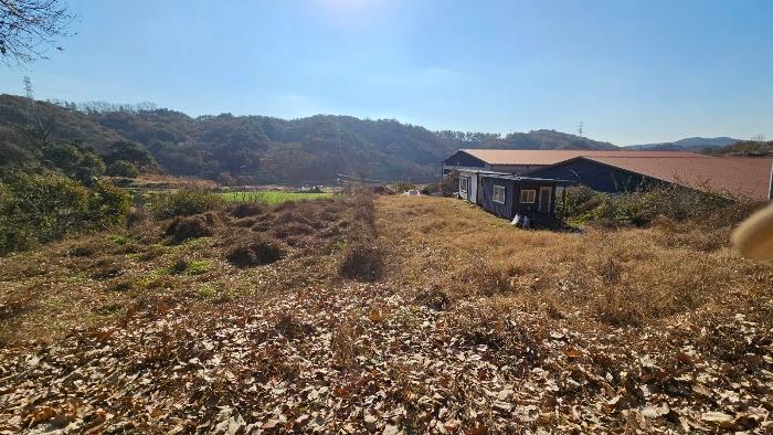 2024타경1448 법원경매 사진2 | 충남 공주시 임야 경매