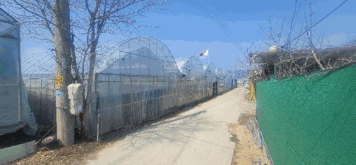 법원경매 2025타경296 사진2 | 김천시 대항면 대룡리 441 답 경매