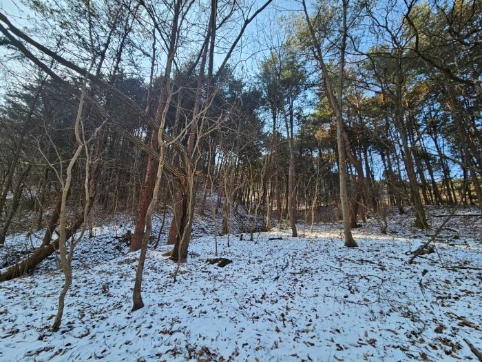 법원경매 2024타경5957 사진2 | 가평군 가평읍 임야 경매