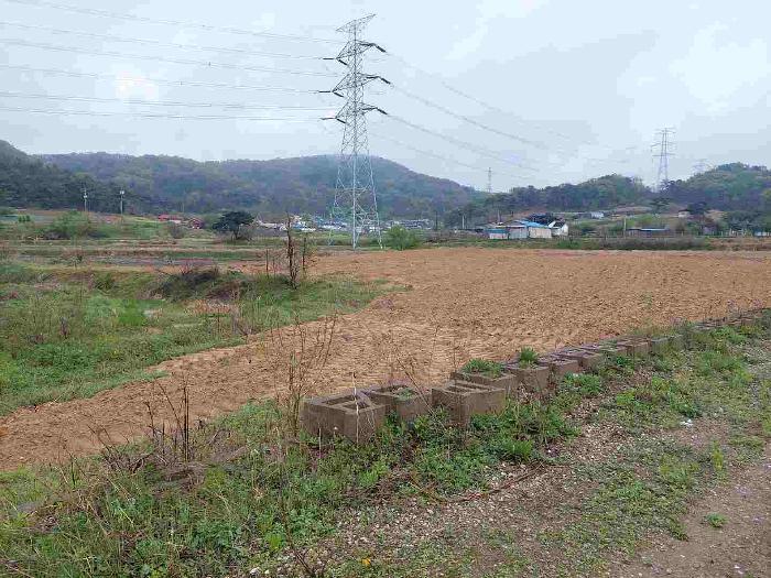 2025타경458 법원경매 사진46 | 충남 아산시 답 경매