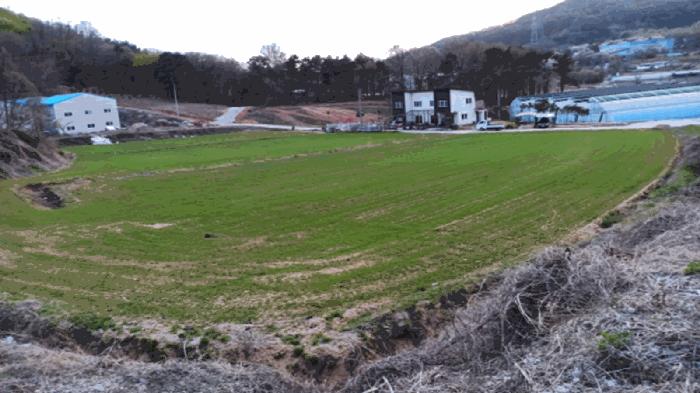 2025타경458 법원경매 사진4 | 충남 아산시 임야 경매