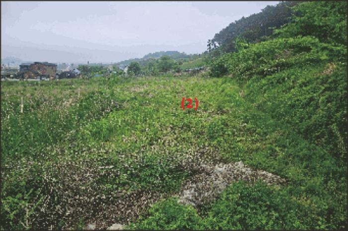 충청남도 아산시 영인면 역리 115-1 법원경매 물건 대표사진