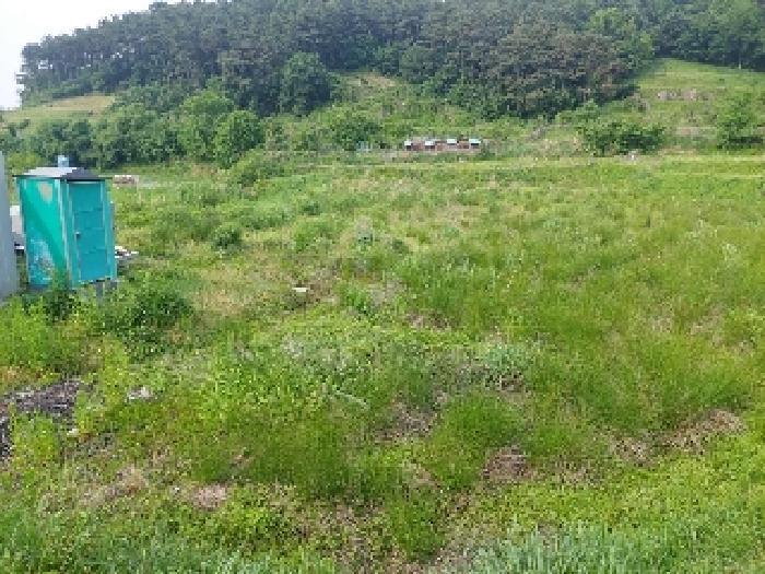 2025타경487 법원경매 사진19 | 충남 아산시 주택건물 경매