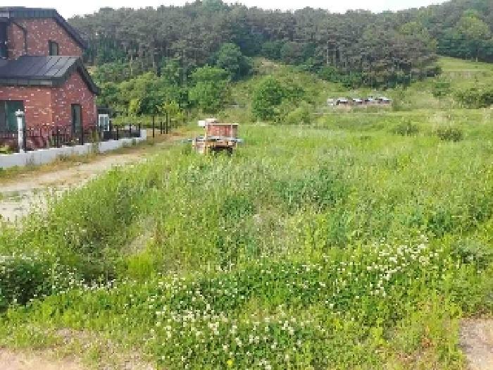 2025타경487 법원경매 사진31 | 충남 아산시 주택건물 경매