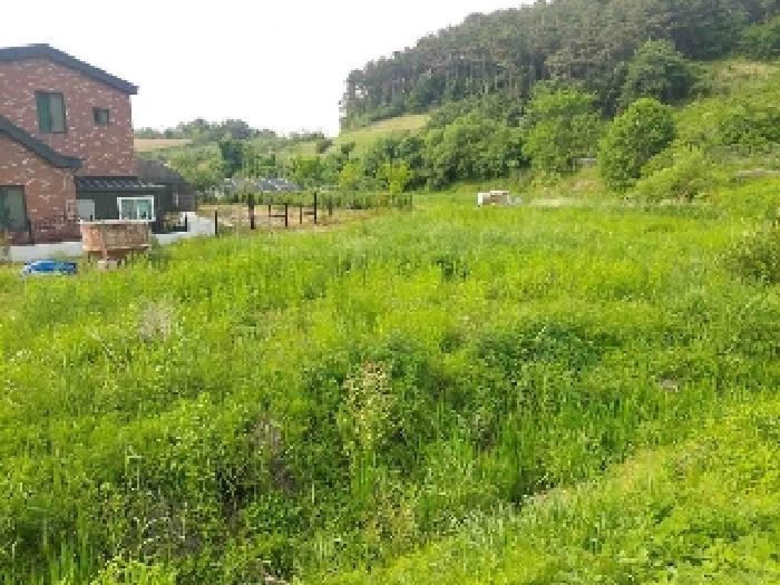 2025타경487 법원경매 사진32 | 충남 아산시 주택건물 경매