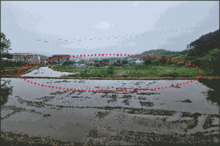 2025타경487 법원경매 사진7 | 충남 아산시 주택건물 경매